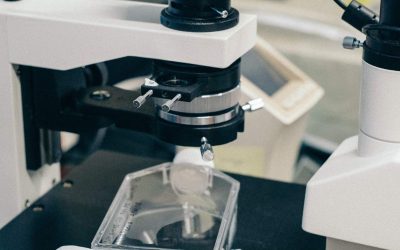 Genomická mapa pro rozhodování o léčbě před operací u HR+/HER2− časného karcinomu prsu